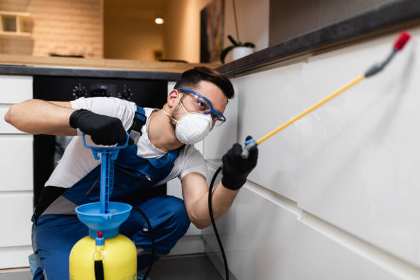Best Best Pest Control Companies  in Verandah, FL