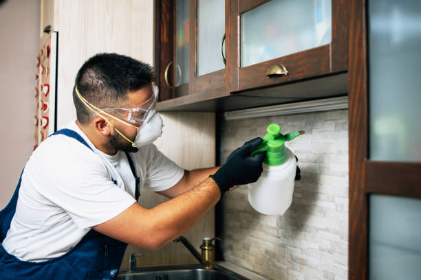 Best Affordable Pest Control Services  in Verandah, FL