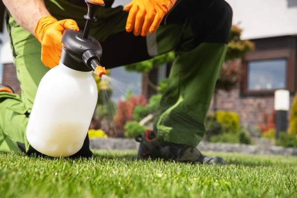 Best Pest Inspection Near Me  in Verandah, FL