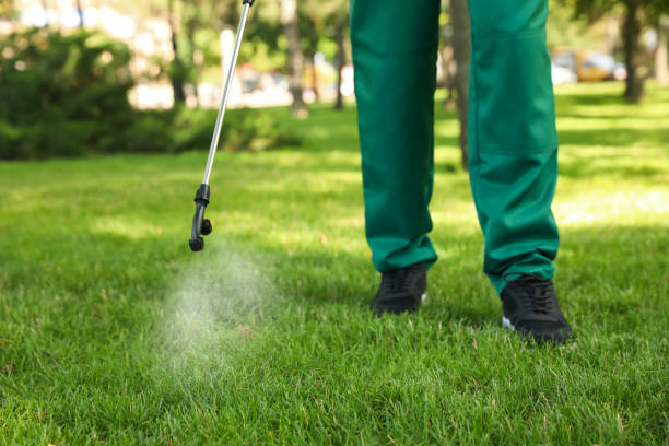 Best Emergency Pest Control  in Verandah, FL