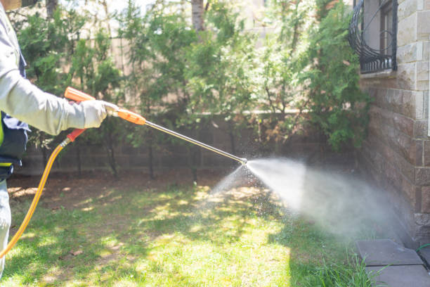 Best Residential Pest Control  in Verandah, FL