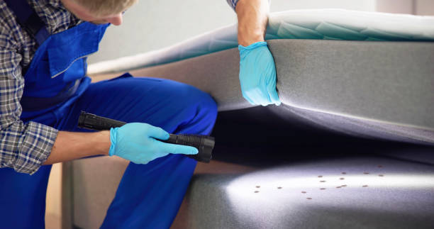 Best Residential Pest Control  in Verandah, FL