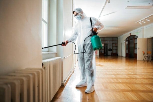 Professional Pest Control in Verandah, FL