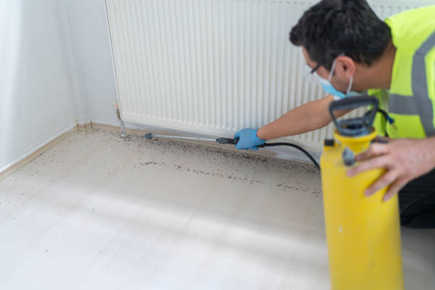 Best Local Pest Control Services  in Verandah, FL
